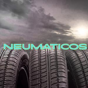 Neumaticos