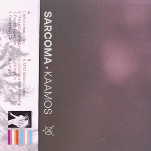 Growing a D**k in Dreams