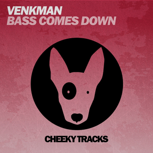 Bass Come Down (Original Mix)