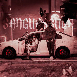 Sanguessuga
