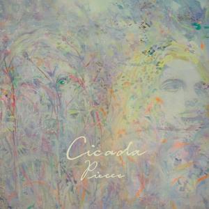 你再也读不出我任何欲望