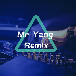 易欣-分爱（Mr Yang Remix）