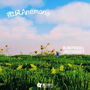 微风Anemone