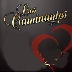 Amor Querido