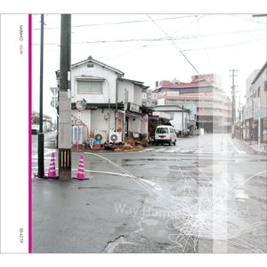 White Sky Winter Chicada