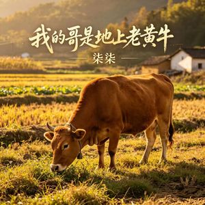 我的哥是地上老黄牛