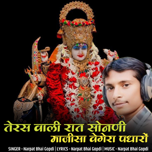 तेरस वाली रात सोनणी माजीसा वेगेरा पधारों