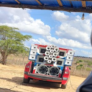 Saveira Estressadinha