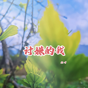讨人嫌的我