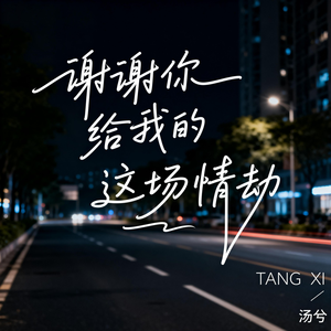 谢谢你给我的这场情劫（伤感版）