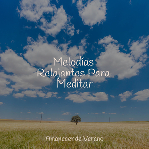 Noche Estrellada en Armonía