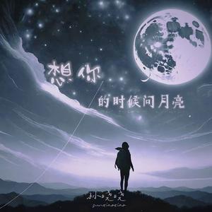 想你的时候问月亮