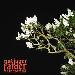 Falder (feat. kingtommi)