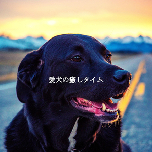 Cheerful Music for January Fresh