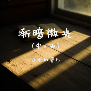 渐暗微光(中文版)