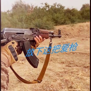 放下这把爱的枪