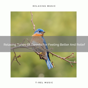 White Noise Of Tweets For Rest And R.E.M. Sleep