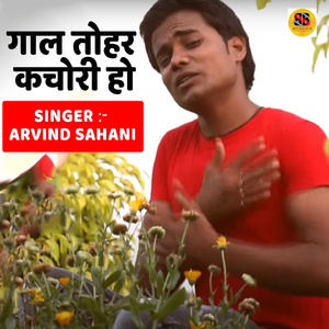 Gaal Tohar Kachori Ho