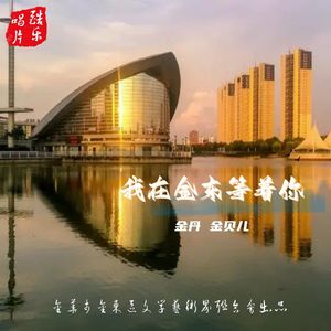我在金东等着你
