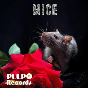 Mice