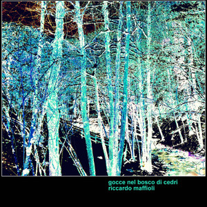 Gocce nel bosco di cedri