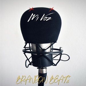 Mi Voz