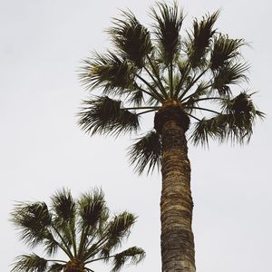 Take a walk钢琴伴奏