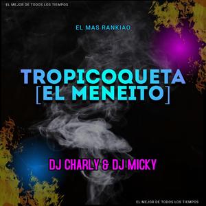 Tropicoqueta Mix (x Dj Charly) [El Meneito]