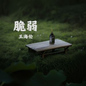 脆弱
