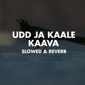 Udd Jaa Kaale Kaava (Slowed & Reverb)