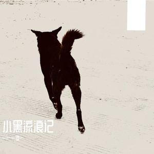 小黑流浪记