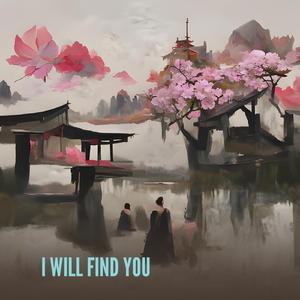 I WILL FIND YOU