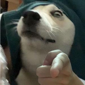 普通DIsco（钢琴）