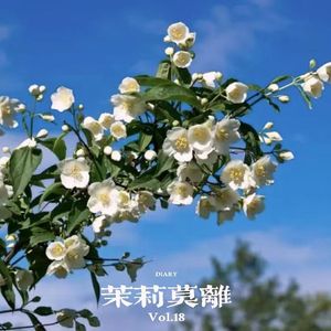 茉莉莫离(Prod.NEONMUSIC)