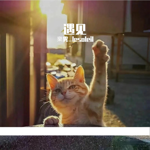 是什么让我遇见这样的你