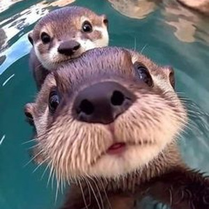 Double take (Sped Up)