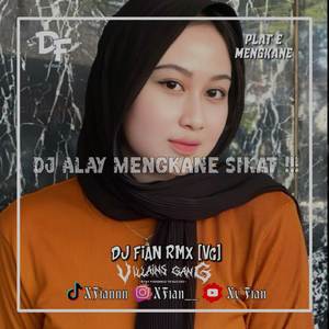 DJ ALAY