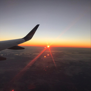 Arrival