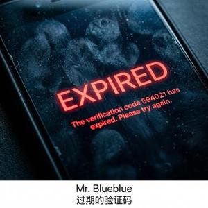 过期的验证码  (Expired Code)