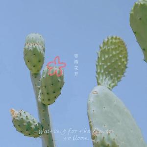 难道是我真的不懂