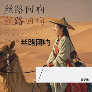 王梦缘 - 丝路回响