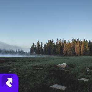 月光洒落床边（舒缓钢琴曲）