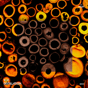 Vertical Reflex (Original Mix)