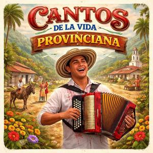 1. La Provincia Vallenata