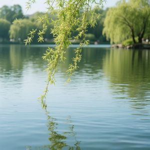 春风拂过湖面