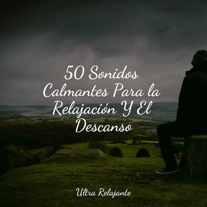 Serendipia