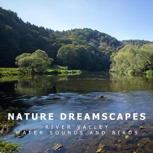 Bubbling Water Stream