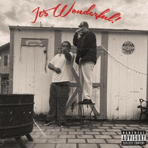 It's Wonderful! (feat. $unne Boii)