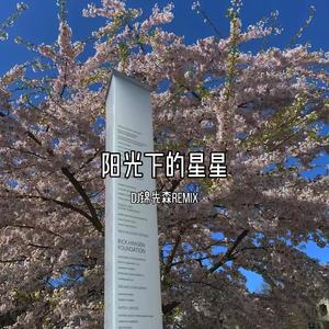 阳光下的星星（DJ锦先森 Remix）