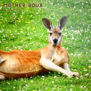 If You Love Me, Tell Me So